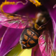 Illustration for article titled 116 Incredible Wallpapers By You